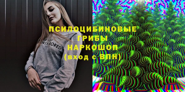 твердый Вязники